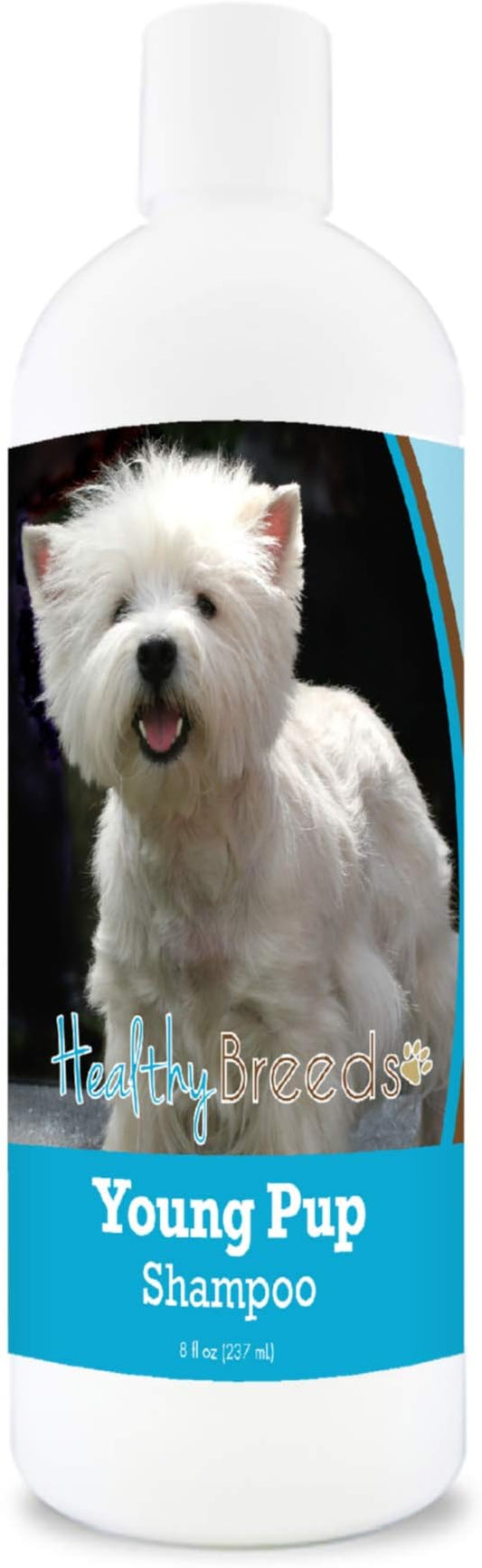 Thoughtfully selected aloe dog shampoo for dogs and cats, designed with comfort in mind