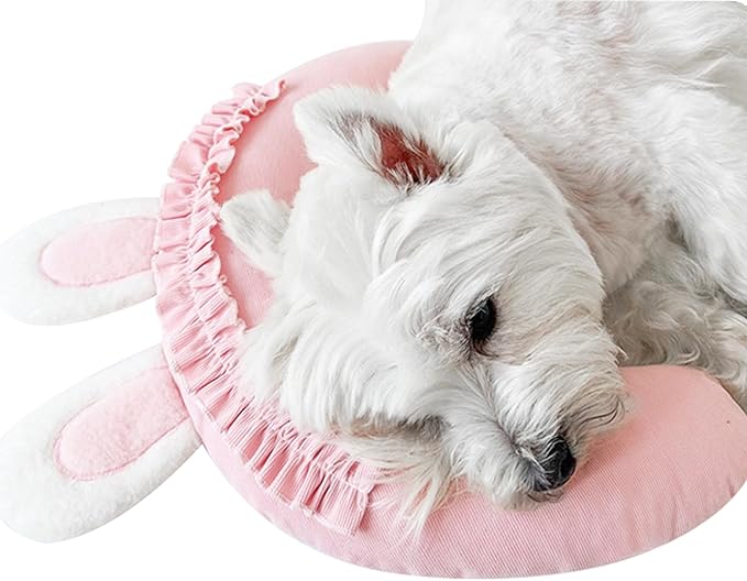 Thoughtfully selected best pet pillows for dogs and cats, designed with comfort in mind