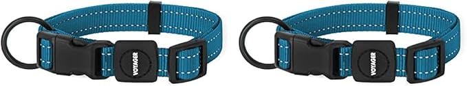Best Pet Supplies Reflective Dog Collar with Adjustable Length, Heavy-Duty Buckle, and Strong Leash D-Ring, Training, Walking, Jogging Accessory for Small, Medium, and Large Breeds - Turquoise, S