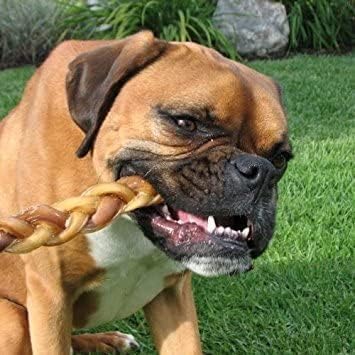 Pawstruck Natural 12” Braided Bully Sticks for Dogs - Tough Long Lasting, Rawhide Free, Low Odor, Healthy Single Ingredient Chew Treat for Aggressive Chewers - 5 Count - Packaging May Vary
