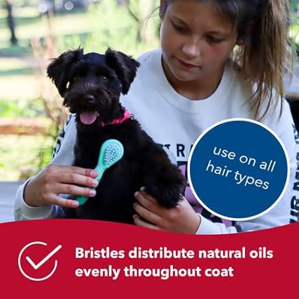 Coastal Pet Li'l Pals Dog Combo Brush - Dog Grooming Brush for Small Dogs - One Size