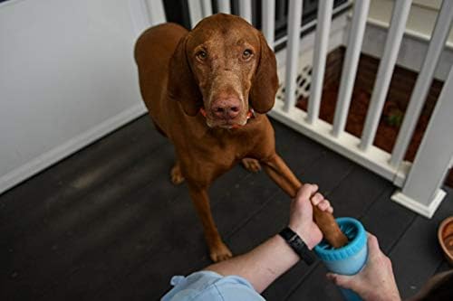 Dexas MudBuster Portable Dog Paw Cleaner, Medium, Blue - Premium Quality Pet Supplies and Accessories