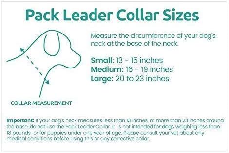 Cesar Millan Pack Leader Collar™ - Training Collar of The Dog Whisperer (Large, Grey)