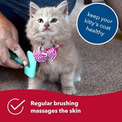 Coastal Pet Li'l Pals - Kitten Slicker Brush with Coated Tips