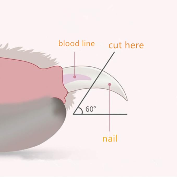 Dog & Cat Pets Nail Clippers and Trimmers,with LED Lighting Safety Guard to Over Cutting, Nail File-Suitable for Small Dogs and Cats(Pink)