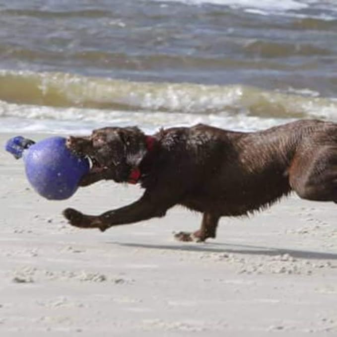 Jolly Pets Dog 10-Inch Tug-n-Toss, Blue