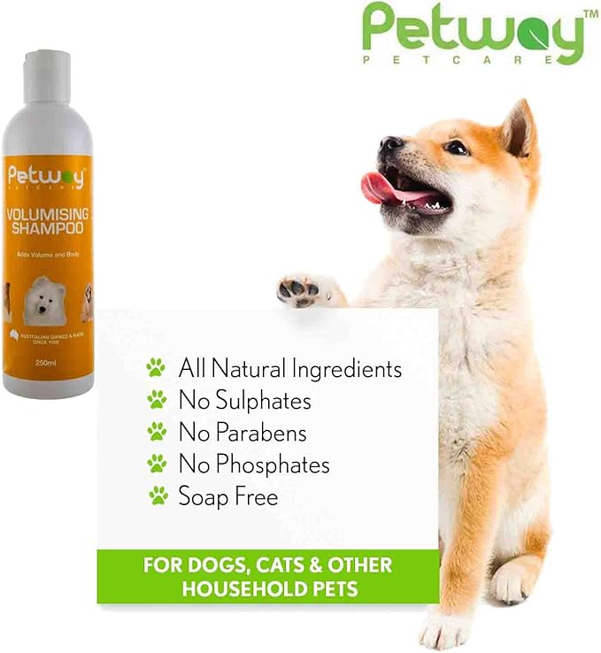 Petcare Volumizing Shampoo For Dogs, Adds Volume and Body to the Hair Shafts, Moisturizes and Hydrates Skin For a Perfect Shine And Luster, Kiwi Fruit Fragrance, Free of Soap, Phosphates, 250ml