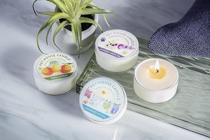 One Fur All Pet House Mini Candles for Pet Odor Made with Natural Soy Wax, Plant Based, Dog and Cat Friendly Scented Candles, Bamboo Watermint Pack of 3