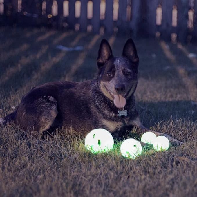 Chew King Glowing Fetch Ball, Dog Ball Toys, Ball Combo