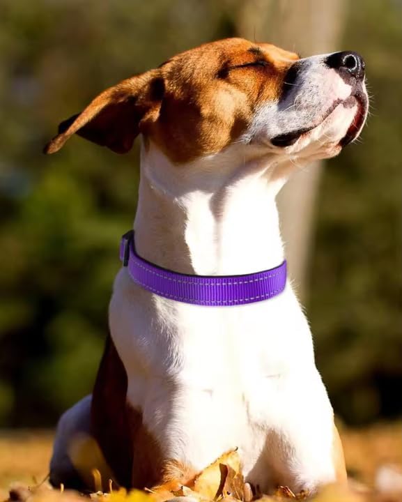 Reflective Dog Collar,Soft Neoprene Padded Breathable Nylon Pet Collar Adjustable