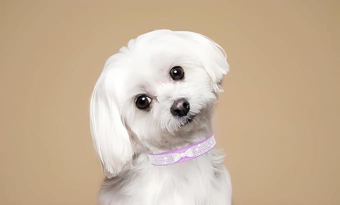 Rhinestone Dog Collar for Female Dogs, Diamond Cat Collars with Jeweled Crystal Sparkling Glitter Girl's Pet Collar Adjustable for Medium Large Dogs Pink, L