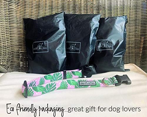 Lucky Love Dog, Tropical Dog Collar for Female Male Dogs, Comfortable & Soft, Vivid Pink Dog Collar - (X-Small, Laguna Collar)