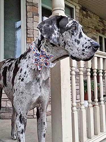 Uniqe Style Paws Flower Dog Collar, Rose Adjustable Girl Dog Collar with Flower, Durable Floral Pattern Pet Collar for Small Female Dogs
