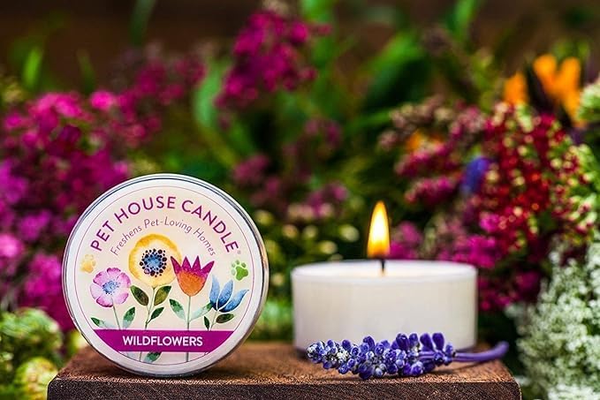 One Fur All Pet House Mini Candles for Pet Odor Made with Natural Soy Wax, Plant Based, Dog and Cat Friendly Scented Candles, Bamboo Watermint Pack of 3