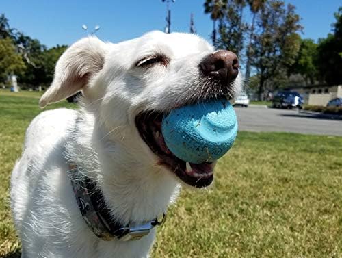 Chuckit! Gen 3 Fetch Medley Dog Balls - Includes the High-Bounce Fetch Ball, Floating Ultra Ball, and Rugged Ball - Durable Rubber Toys for Dogs 20-60 lbs - Size Medium - 2.5-inch Diameter - Set of 3