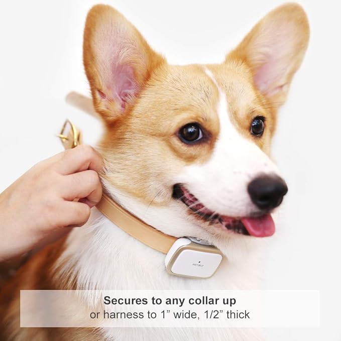 G1-US GPS Pet Tracker, 30 Days Ultra Long-Lasting Battery Lightweight Waterproof pet Finder (White) (White)