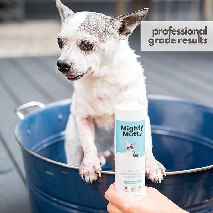 Mighty Mutt Soothing Dog Shampoo and Conditioner + Brush Bundle | Fresh Breeze (9 fl oz) | Deodorizes Smelly Dogs | Detangles | Natural, Hypoallergenic & Anti-Itch Dog Shampoo Sensitive Skin