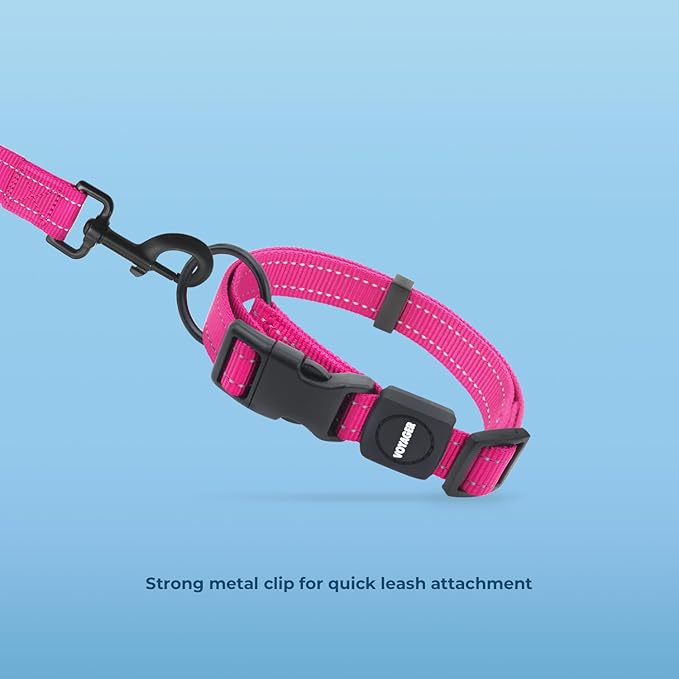 Voyager Reflective Dog Leash Collar Set with Neoprene Handle Supports Small, Medium, and Large Breed Puppies, Cute and Heavy Duty for Walking, Running, and Training - Fuchsia, L