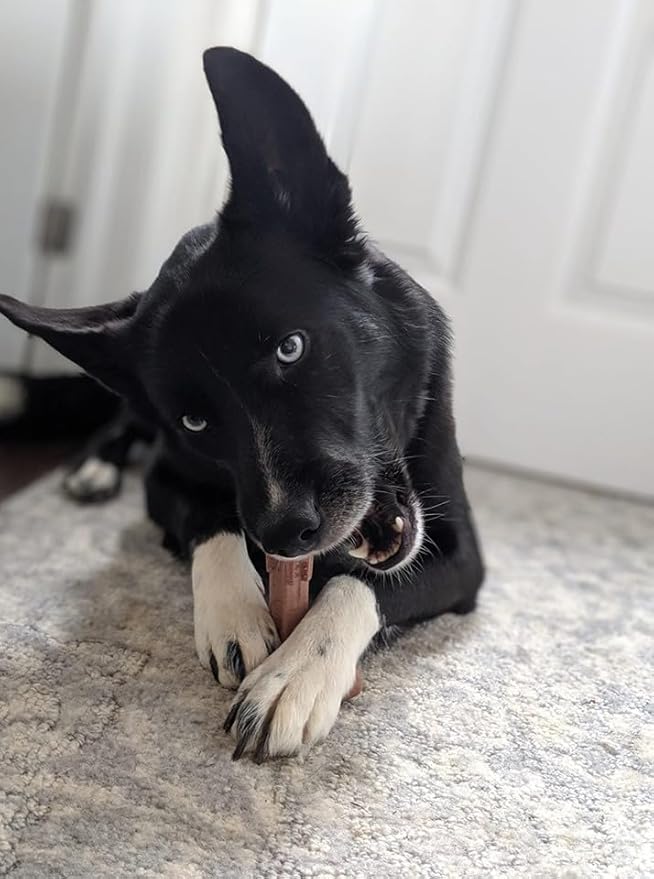 SPOT Bam-Bones Plus T Bone - Bamboo Fiber & Nylon, Durable Long Lasting Dog Chew for Aggressive Chewers – Great Toy for Adult Dogs & Teething Puppies Under 30lbs, Non-Splintering, 4in, Beef Flavor