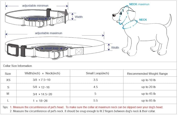 Blueberry Pet Essentials Martingale Safety Training Dog Collar, Lavender, Small, Heavy Duty Nylon Adjustable Collars for Dogs