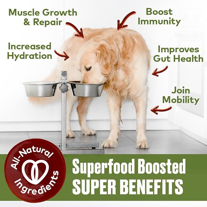 Mobility Support Beef Bone Broth for Dogs | Hip & Joint Support for Dogs | Glucosamine & Amino Acid Boosted | Human Grade Ingredients | Just add Water | Made in USA, 16 oz