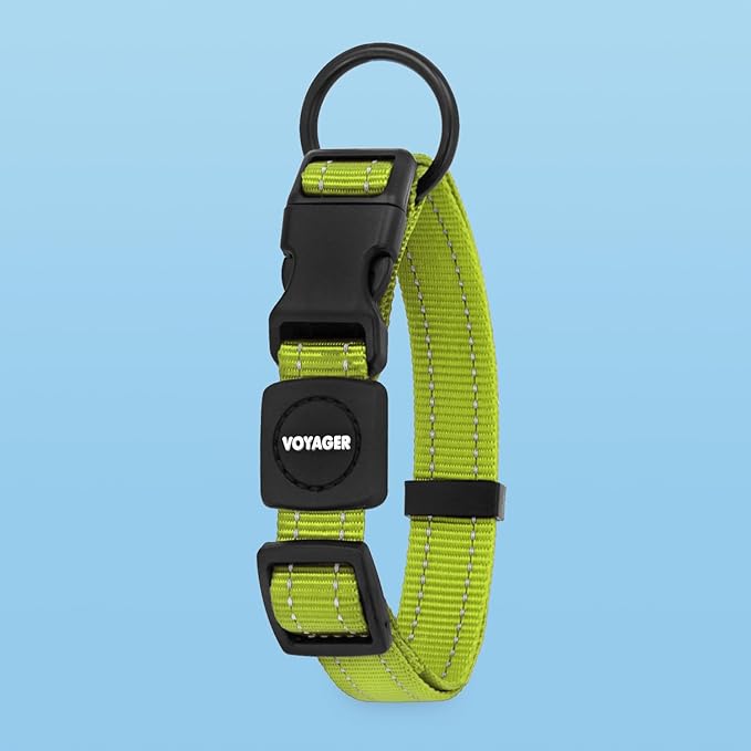 Voyager Reflective Dog Leash Collar Set with Neoprene Handle Supports Small, Medium, and Large Breed Puppies, Cute and Heavy Duty for Walking, Running, and Training - Lime Green, L