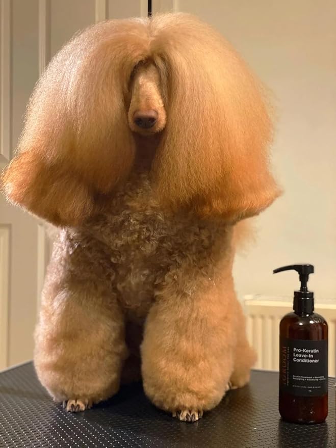 iGroom Dog Groomers Bundle - Argan & Vitamin E Dog Shampoo Concentrate, Enhanced Cleaning, 16 oz - Pro-Keratin Leave-in Conditioner, Excellent Detangling, 16 oz