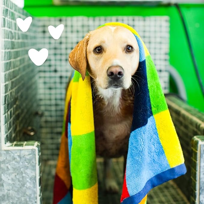earthbath 2-in-1 Conditioning Dog Shampoo- Gentle Shampoo and Conditioner for Smelly Dogs, Dog Wash in Bulk, Softens and Detangles, Use for Pet Grooming, Dilutes 33:1- Mango Tango, 2.5 Gallon (1 Pack)