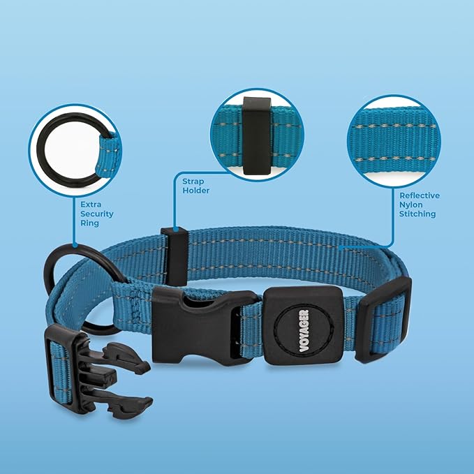 Voyager Reflective Dog Leash Collar Set with Neoprene Handle Supports Small, Medium, and Large Breed Puppies, Cute and Heavy Duty for Walking, Running, and Training - Turquoise, L