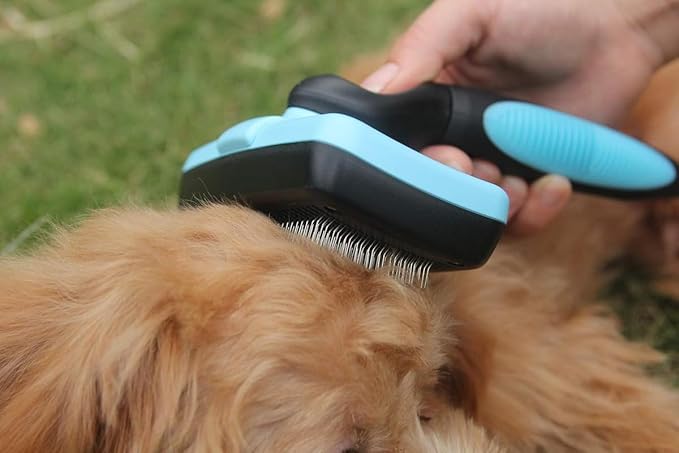 Maxpower Planet Self Cleaning Dog Hair Brush - Gently Removes Loose Undercoat, Mats and Tangled Hair for Dogs and Cats - Doodle Brush - All Hair Types - Blue