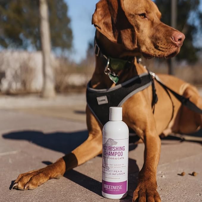 Dog Conditioner, Sweet Pea Vanilla Fragrance, Gentle Dog Bath Supplies for Soft and Shiny Coat, Ideal for All Breeds and Skin Types, 12oz (Shampoo (12oz))