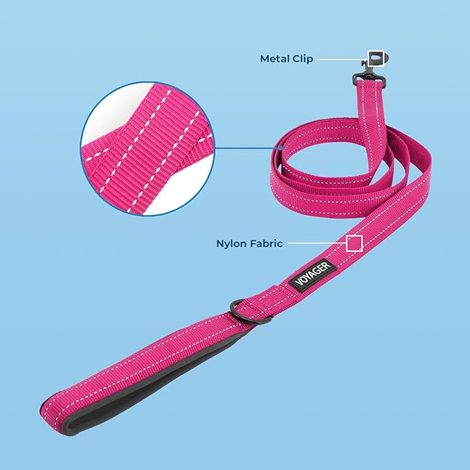 Voyager Reflective Dog Leash Collar Set with Neoprene Handle Supports Small, Medium, and Large Breed Puppies, Cute and Heavy Duty for Walking, Running, and Training - Fuchsia, L
