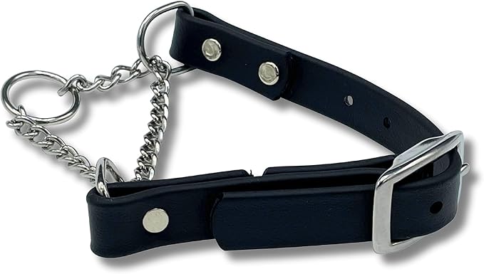 Martingale Collar for Dogs, Biothane, Stainless Steel Hardware, No Pull, Made in The USA, Professional Grade, Medium, Black