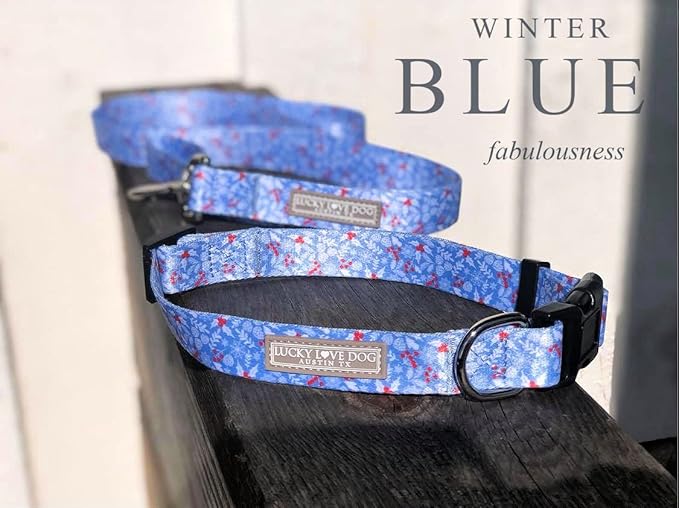 Lucky Love Dog Blue Winter Combo Set, Adjustuble Comfortable Dog Collar and Leash Set, Snowflake Christmas Combo Set for Medium Dogs - (Winterblue Combo, Medium)