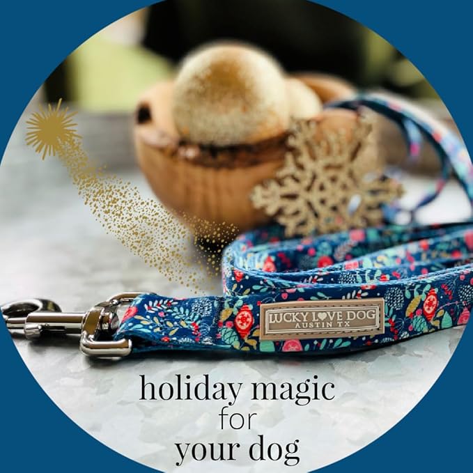 Lucky Love Dog, Blue Winter Pinecones Dog Collar and Leash Set, Vivid Winter Ornaments Dog Collar and Leash for Girl or Boy Dogs - (Extra Small, SweetHoliday Combo)
