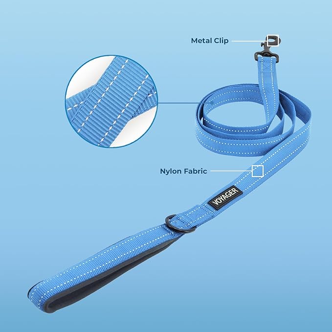 Voyager Reflective Dog Leash with Neoprene Handle, 5ft Long, Supports Small, Medium, and Large Breed Puppies, Cute and Heavy Duty for Walking, Running, and Training - Baby Blue (Leash), M