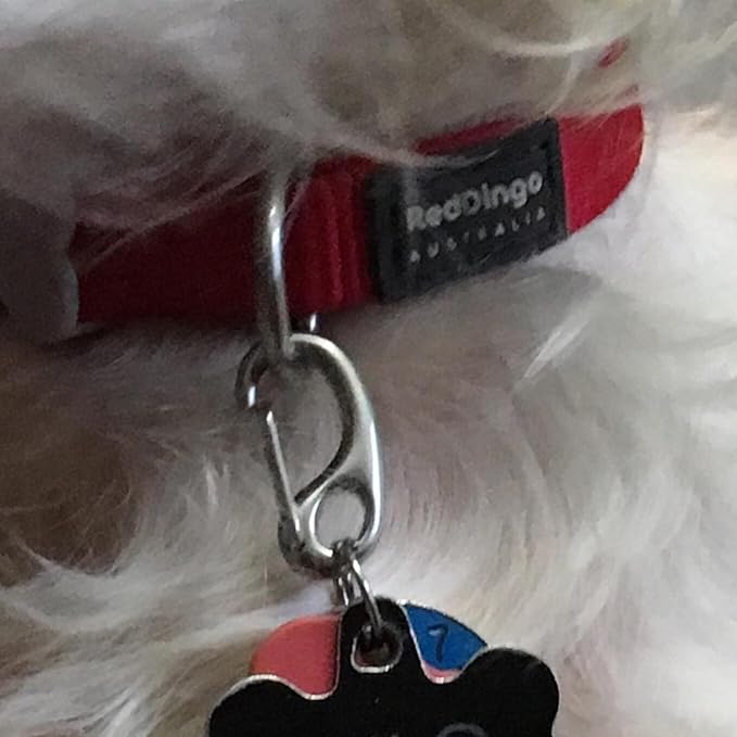 Leash Pet Tag Quick Clip, Spring Load Hook Combo Clip for Pet ID Tags