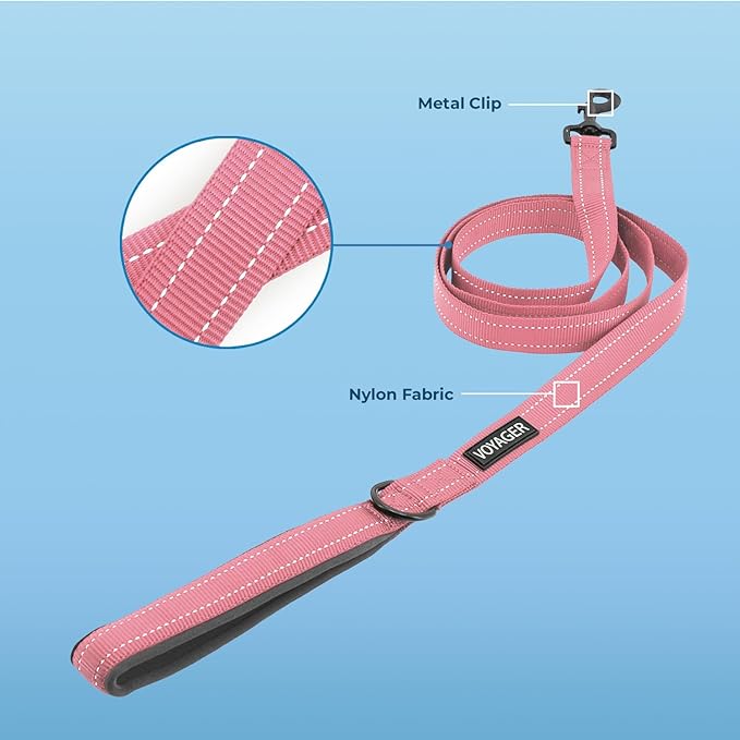Voyager Reflective Dog Leash with Neoprene Handle, 5ft Long, Supports Small, Medium, and Large Breed Puppies, Cute and Heavy Duty for Walking, Running, and Training - Pink (Leash), M