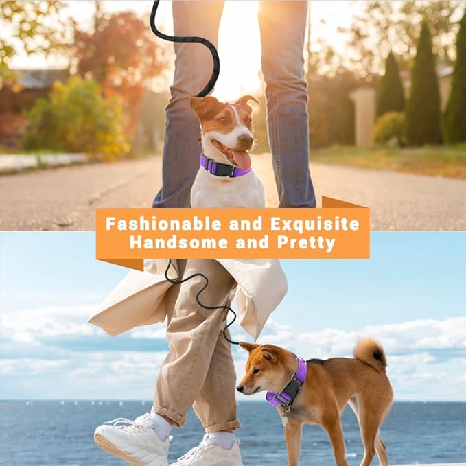 Reflective Dog Collar and Leash Set with Safety Locking Buckle, Adjustable Soft Breathable Comfortable Nylon Pet Collar for Small, Medium and Large Dogs(Collar+Leash M Neck 14"-20" Purple)