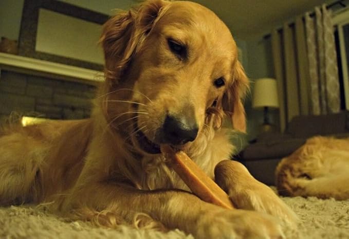 EcoKind Premium Gold Yak Cheese Himalayan Dog Chews, Dog Treats Large Breed, All Natural, High Protein, for Aggressive Chewers, Large - 5 Chews