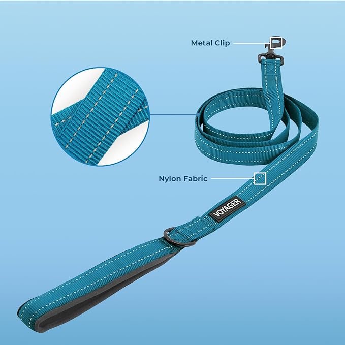Voyager Reflective Dog Leash Collar Set with Neoprene Handle Supports Small, Medium, and Large Breed Puppies, Cute and Heavy Duty for Walking, Running, and Training - Turquoise, L