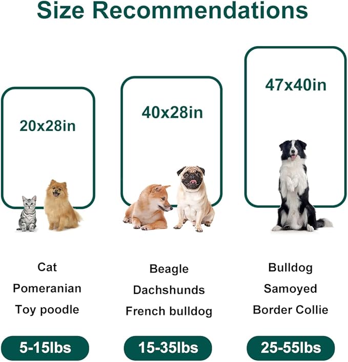 Onarway Dog Blanket Washable for Puppy: 4 Packs Dog Blankets 40”x28” - Fluffy Soft Small Throw for Cat Puppy Kitten Dogs - Fleece Pet Blankets for Bed Sofa Car and Indoor - Lake Green and Purple