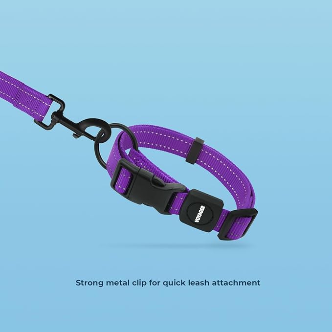 Voyager Reflective Dog Leash Collar Set with Neoprene Handle Supports Small, Medium, and Large Breed Puppies, Cute and Heavy Duty for Walking, Running, and Training - Purple, M