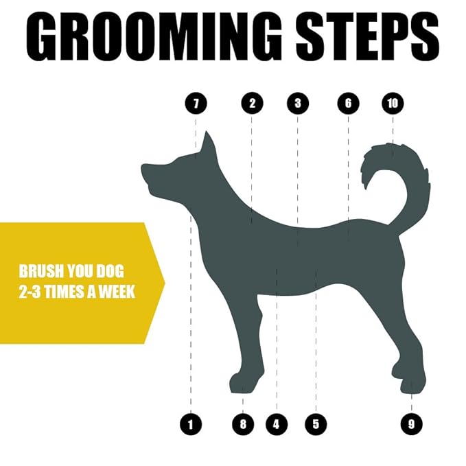 BV Pet Grooming Bristle and Pin Comb Brush, Black and Blue, For all breeds and coat types, Removing Shedding Hair, Brush for Dogs and Cats