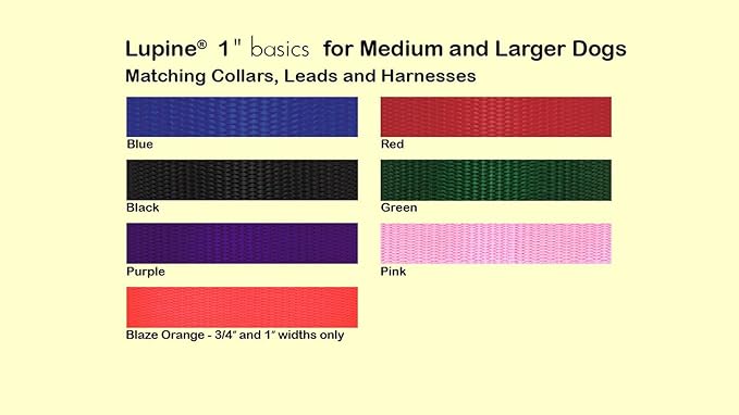LupinePet Basics 1" Purple 25-31" Adjustable Collar for Extra Large Dogs