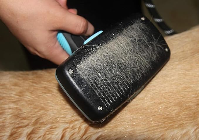 Maxpower Planet Self Cleaning Dog Hair Brush - Gently Removes Loose Undercoat, Mats and Tangled Hair for Dogs and Cats - Doodle Brush - All Hair Types - Blue