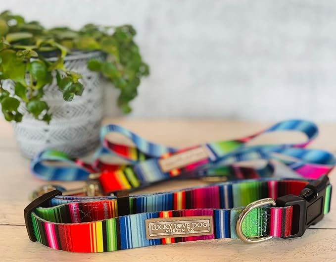 Lucky Love Dog Combo Set, Colorful Striped Dog Collar & Leash Set, Matching Collar and Leash for Tiny Girl or Boy Dogs, Nacho Combo, XS
