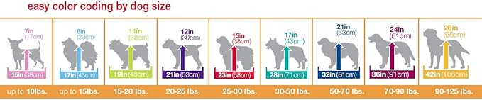 PETMATE 2-Door Training Retreat Wire Kennel