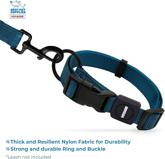 Best Pet Supplies Reflective Dog Collar with Adjustable Length, Heavy-Duty Buckle, and Strong Leash D-Ring, Training, Walking, Jogging Accessory for Small, Medium, and Large Breeds - Blue, M