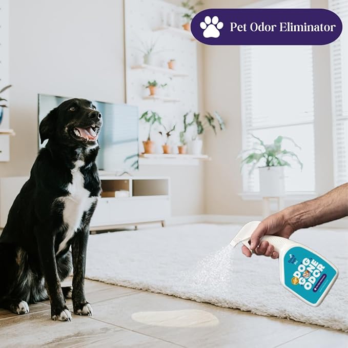 Good Salt Pet Dog Gone Odor, Natural & Fragrance Free Scent Neutralizer, Made in the USA, 1 Gallon Bottle